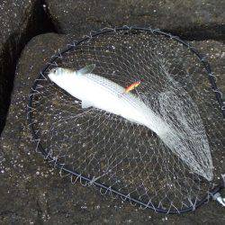 こんなところで漁船が・・・